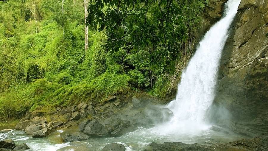 A side view of cascading waterfalls surrounded by greenery | Vythiri Resort, Wayanad